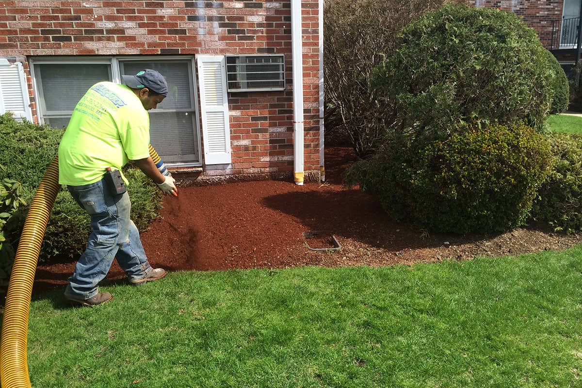 Landscaping Companies