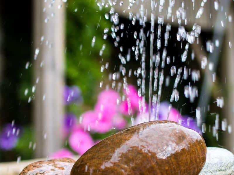 Designing a Water Feature for Your Landscape