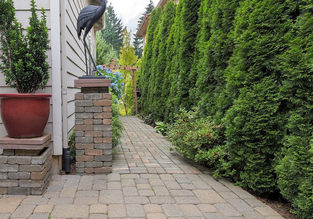 How to Winterize Your Landscape and Hardscape Features