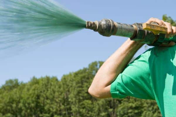 Syringing Turf Spray On Grass Seeding: Best Benefits & Tips 2024