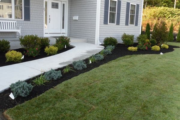Landscape Plantings by Salcorp Landscaping