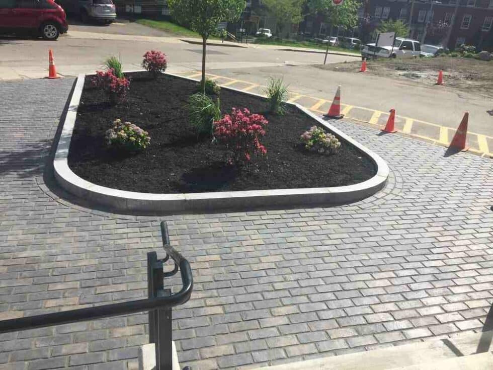 Does Commercial Landscaping Increase Your Property Value? Top 10 Boosts